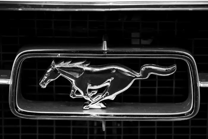 Free Ford Mustang Ford photo and picture Free Ford Mustang Ford photo and picture